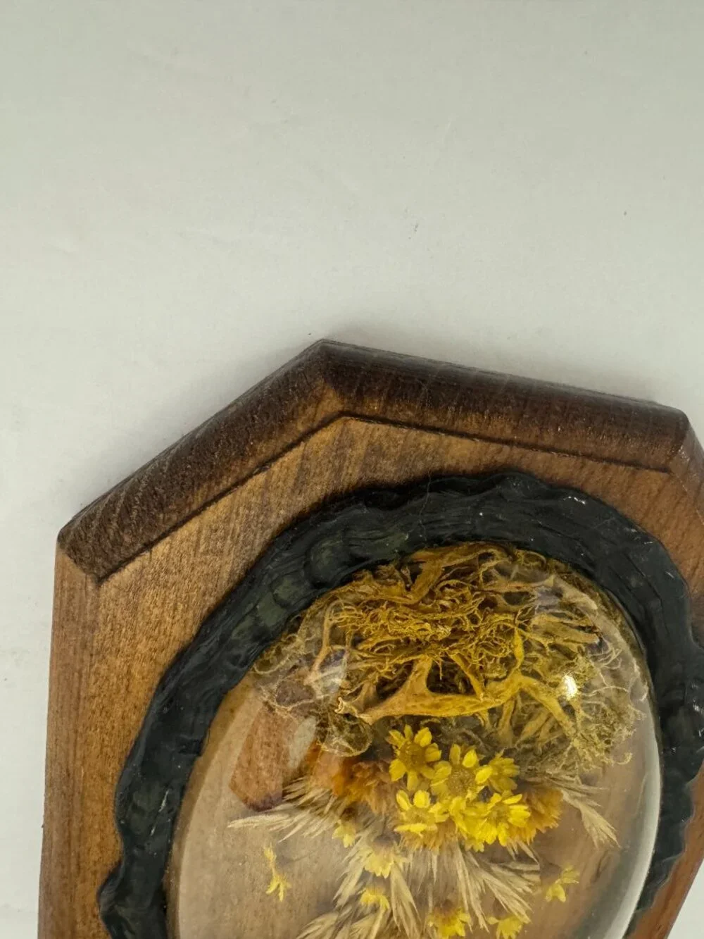 Vintage Dried Flowers Wall Hanging Art Convex Bubble Glass Wood Plaque.